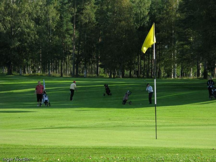 Golfgreen med flagga och golfspelare