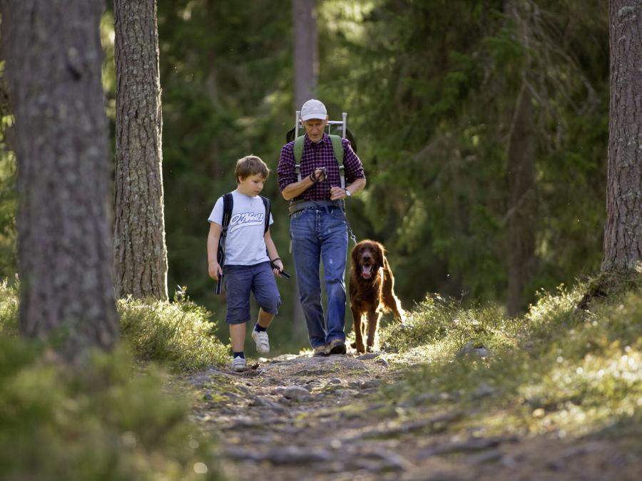 Vuxen, barn och hund går på en stig i skogen.