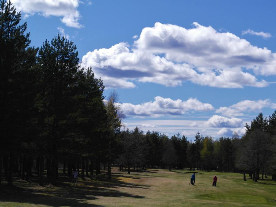 Golfbana med skog runtom. 