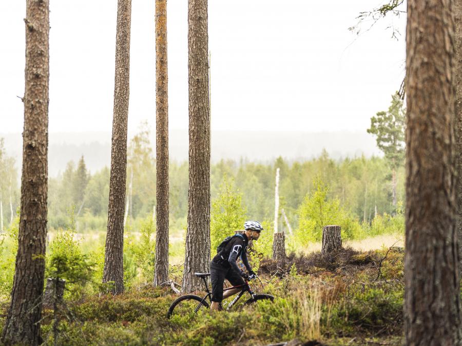 Cyklist i skogsmiljö.