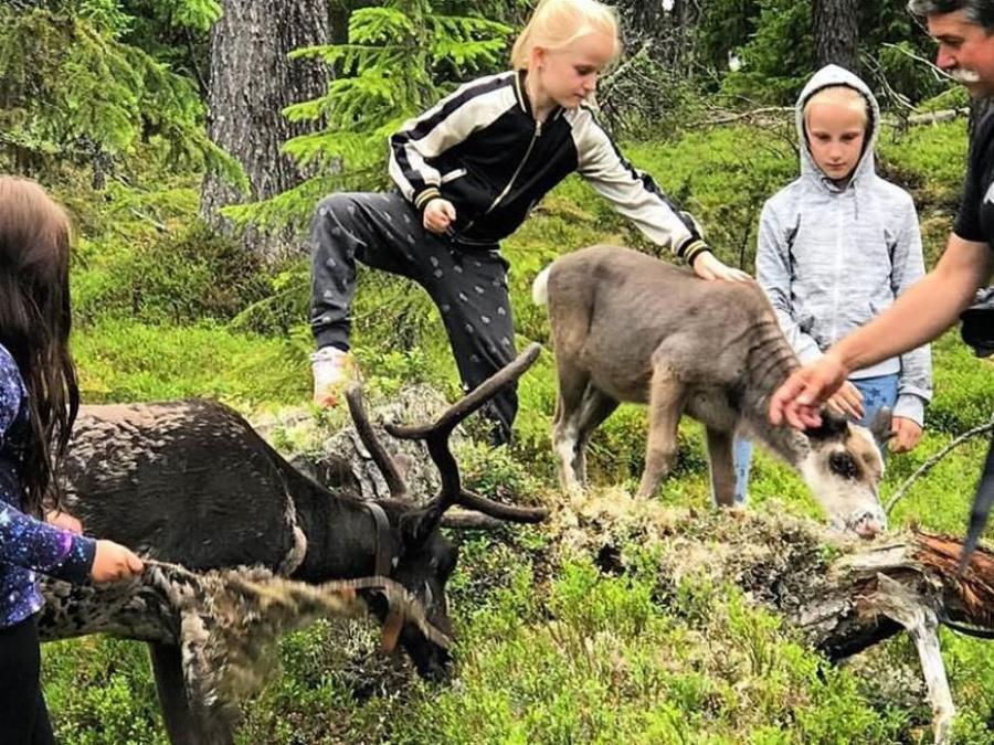 Children in the forest petting reindeer.