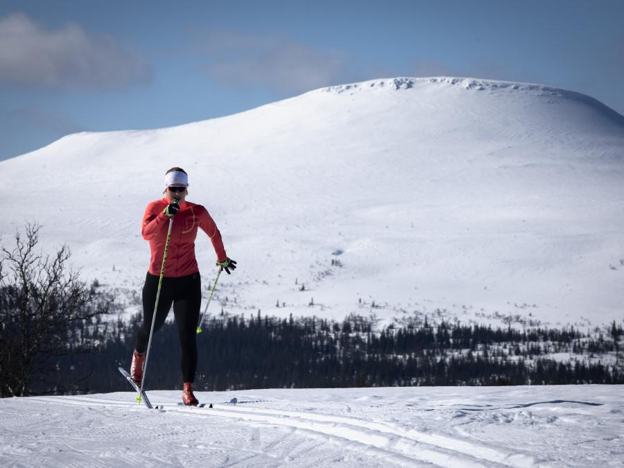 Cross-country skier with mountain Städjan in the background.