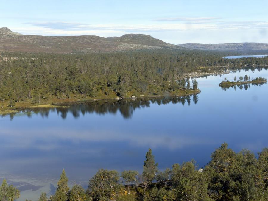 Lake Storån.