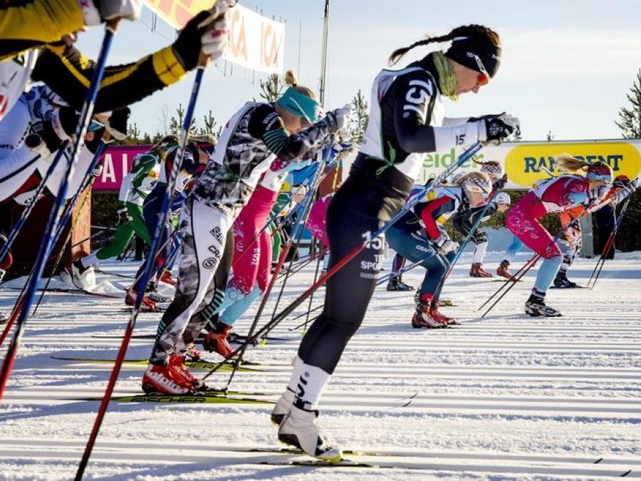 Skiers in action.