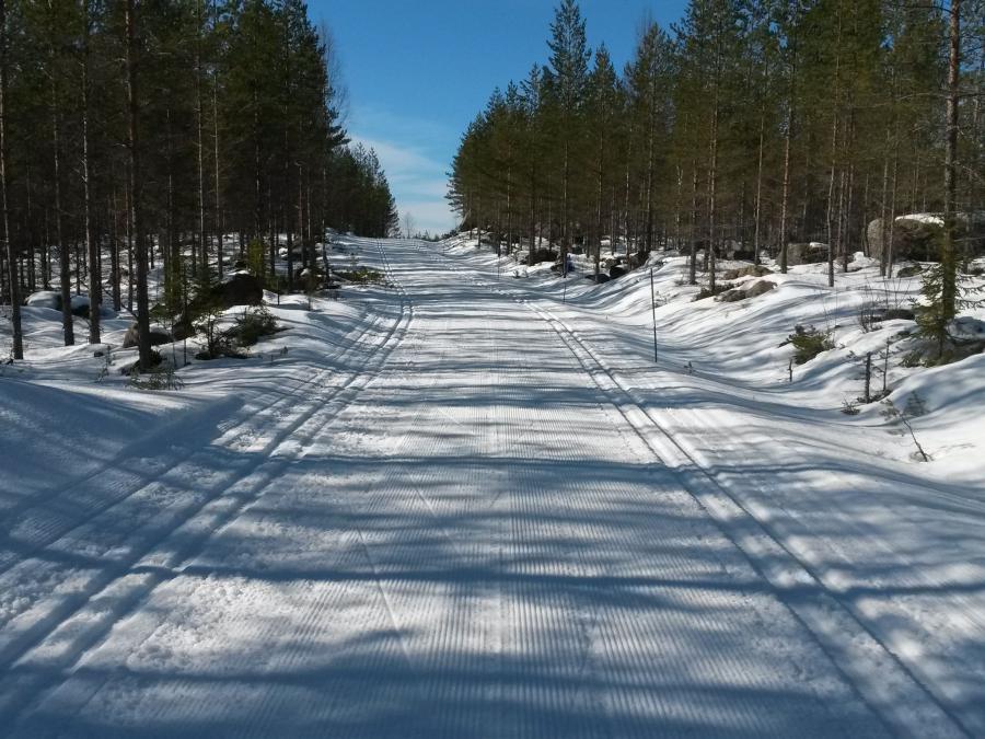 Two classical ski tracks a sunny winter day.