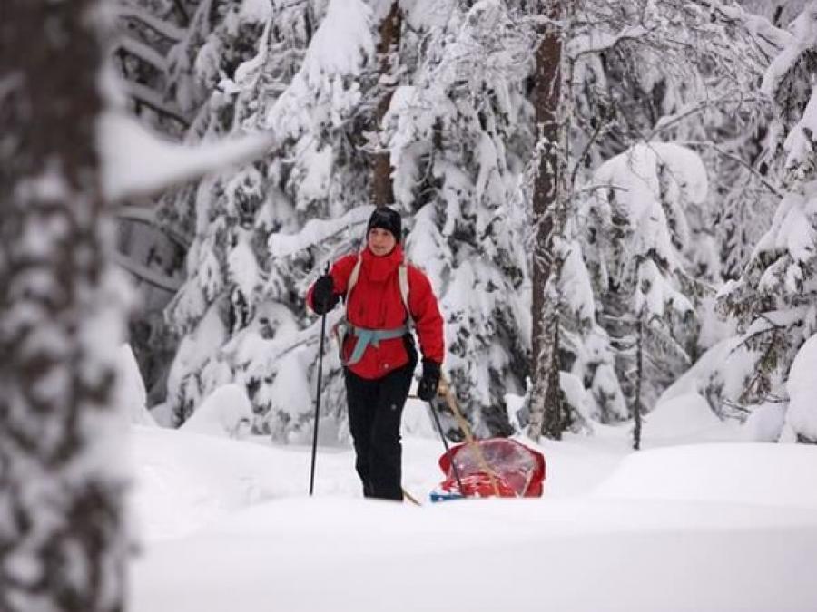 Cross country skiier in a red jacket with a ski sled.