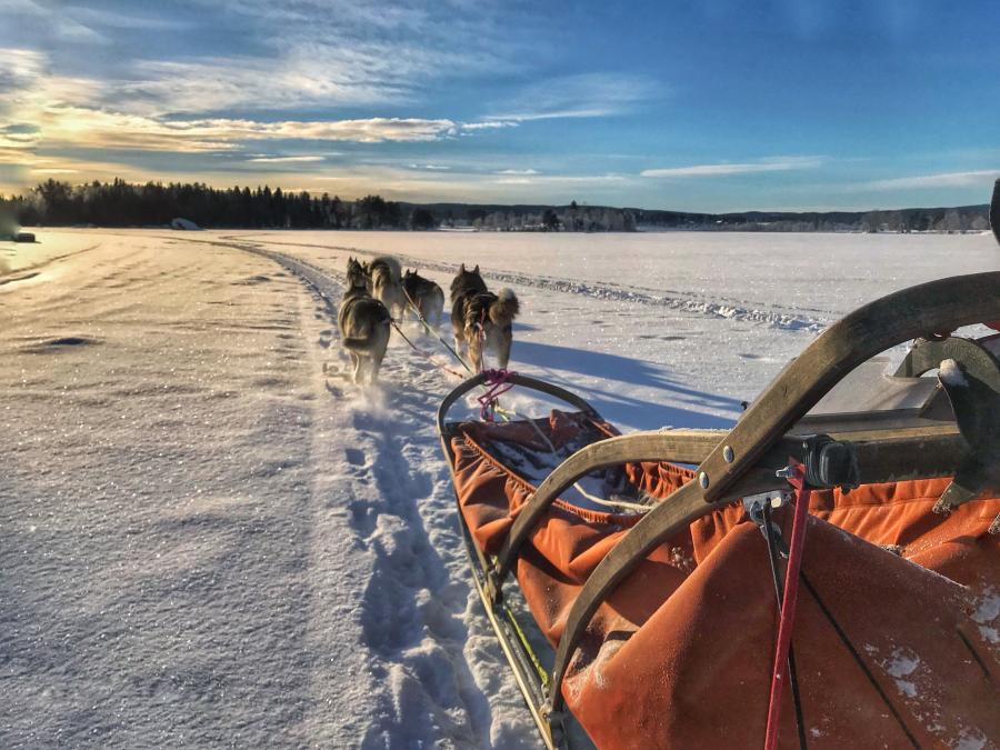 A sled pulled by dogs in the sunset..