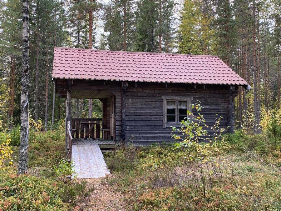 The timber cottage in the forest.