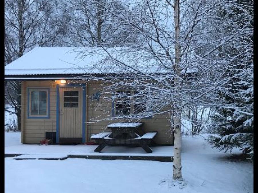 Cabin with frosted birch in front. 