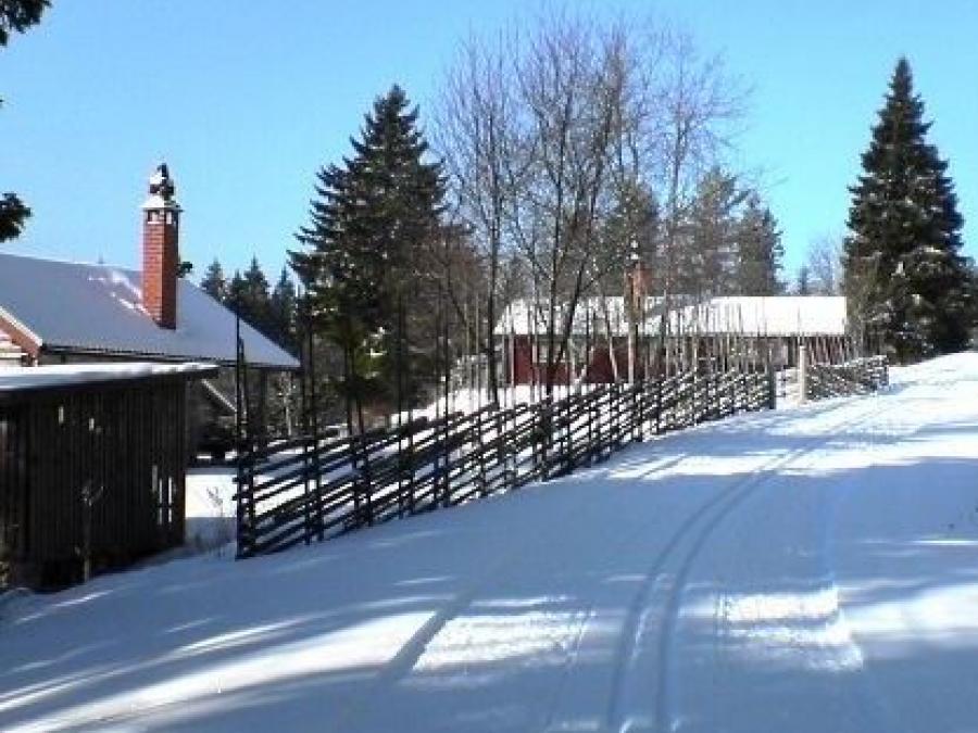 Cross country ski track, to the left  On the left, a fence and log houses.