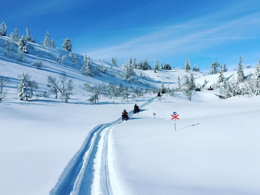 Ski trails on the mountain with blue sky.