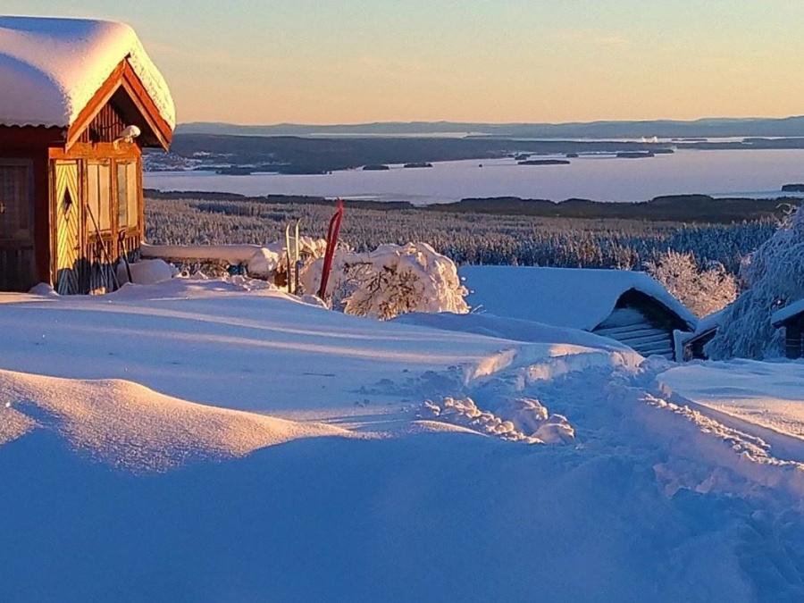 Ett vintrigt landskap över Smidgården.