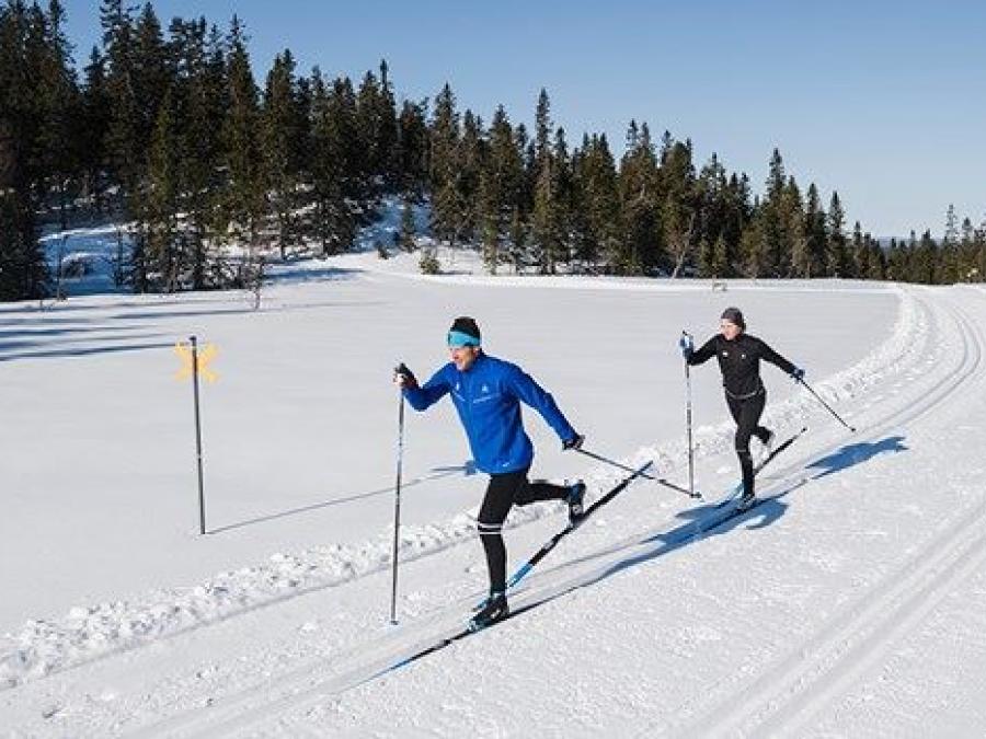 Två personer åker skidor i längdspår.