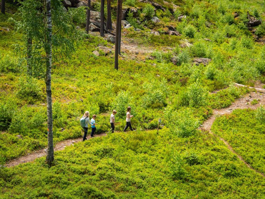 En kvinna och tre barn som vandrar på en stig i ett grönskande landskap.