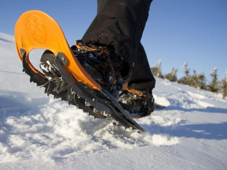 A foot with a snowshoe on in the snow.