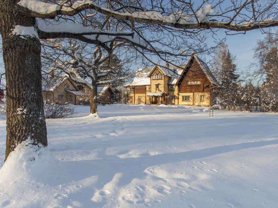 Vinterbild på Zorngården