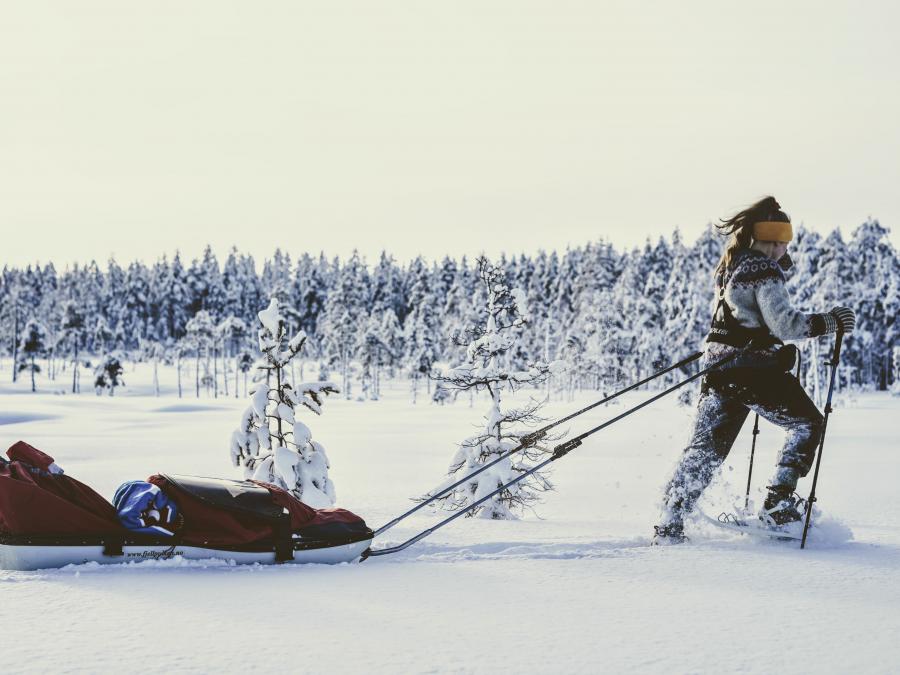 Kvinna i snöskor drar en pulka i snön. 