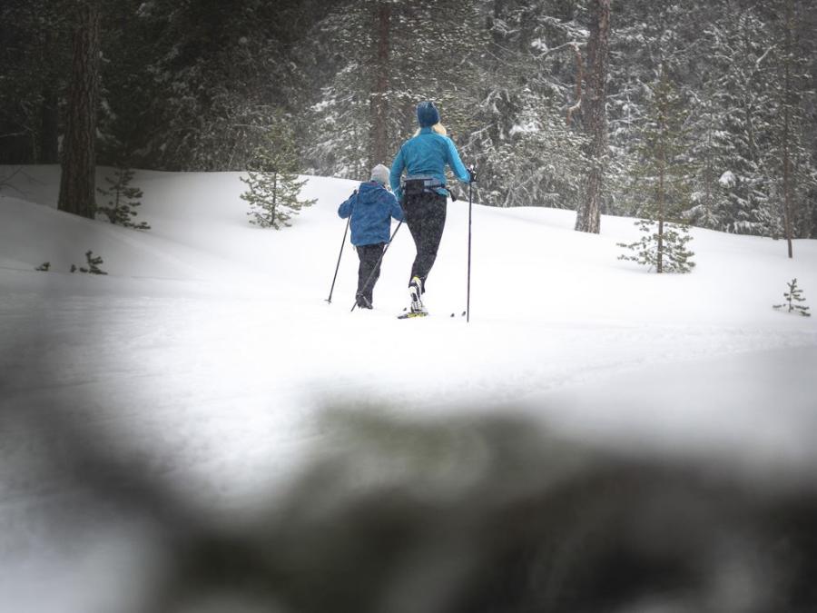 A women and a child cross country skiing.