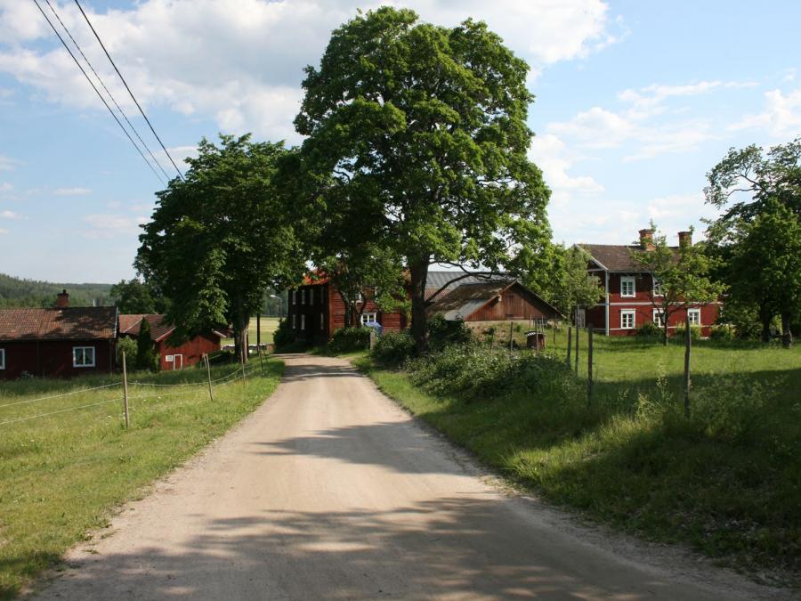 The road leading up to the village.