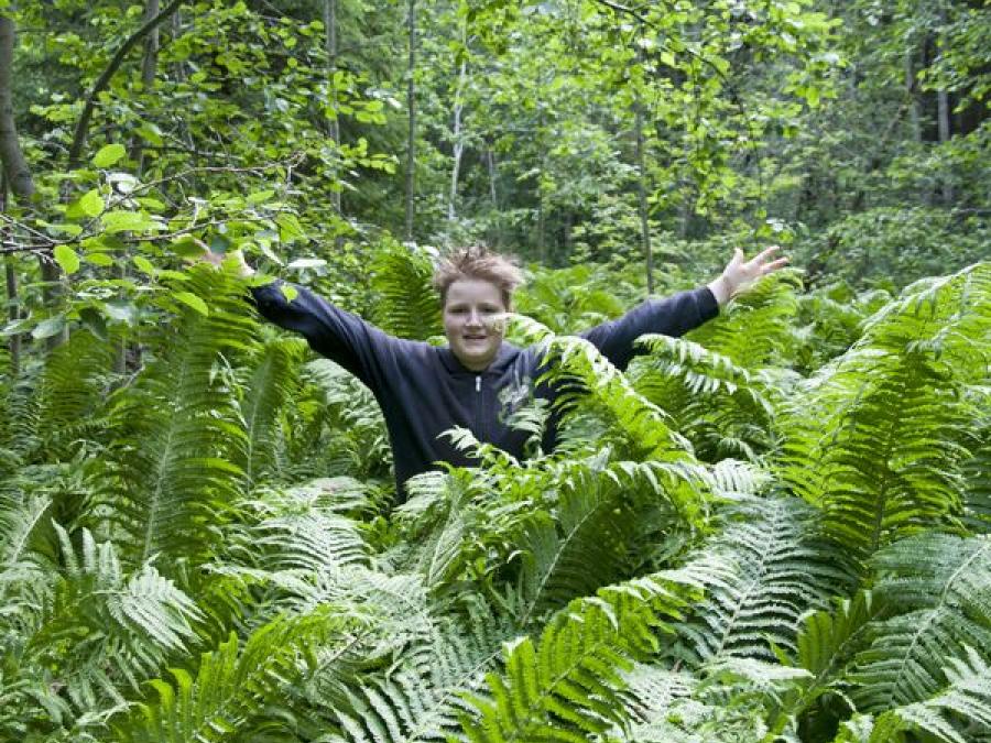 Youth standing in the middle of ferns.