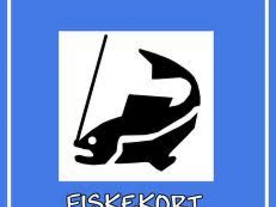 Fishing license logo.