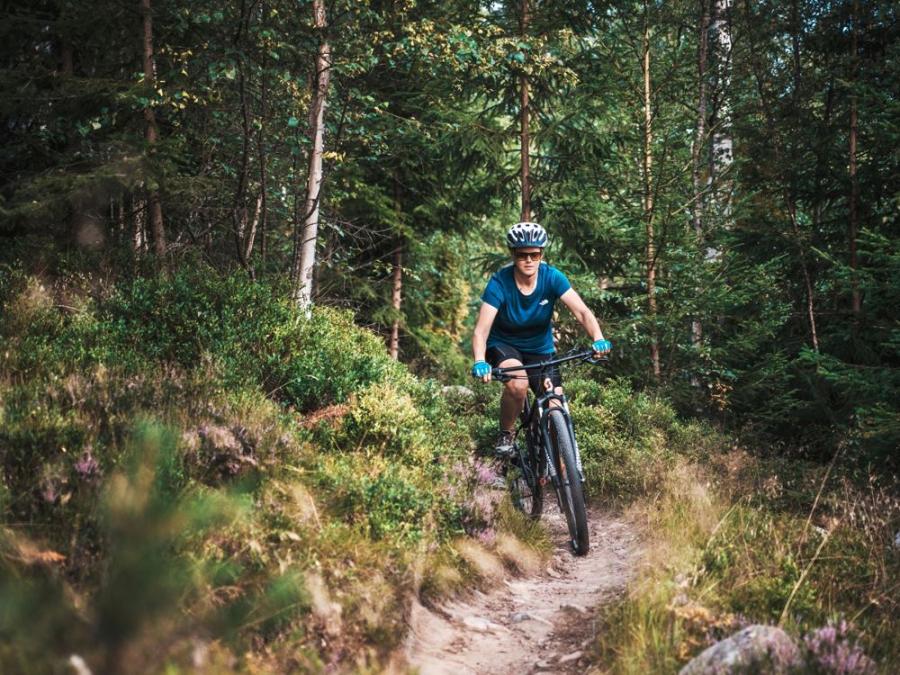 En kvinna som cyklar på en led i skogen.