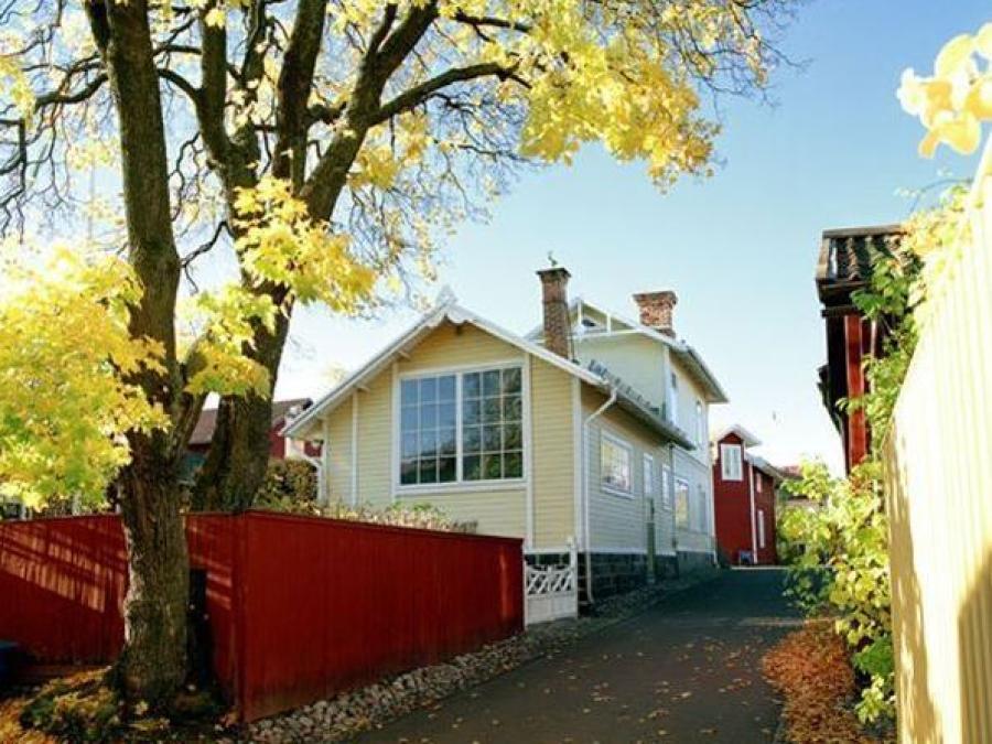 A picture taken on a sunny autumn day, a street, to the left of the street a large tree with yellow leaves, a red fence and a yellow wooden building with large windows.