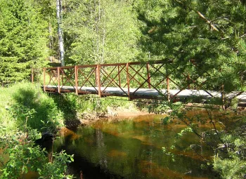 Gångbro leder över å i skogen.
