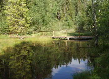 Bro över ån.