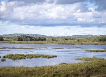 Lake and reeds in the foreground with blue mountains in the background.