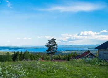 Vy över Orsasjön från Grönklitt.