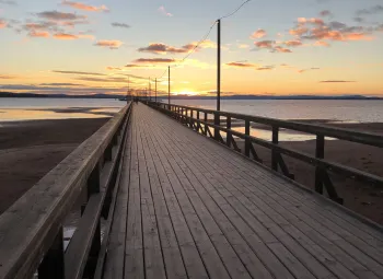 Solnedgång över bryggan.