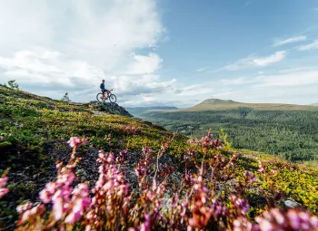 En person på en cykel på en kulle med utsikt över en dal.