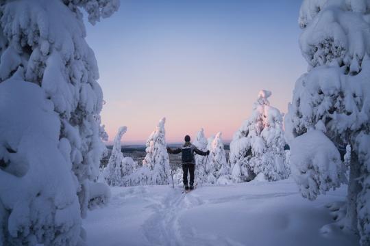 En man på längdskidor i en skog med snötyngda träd.