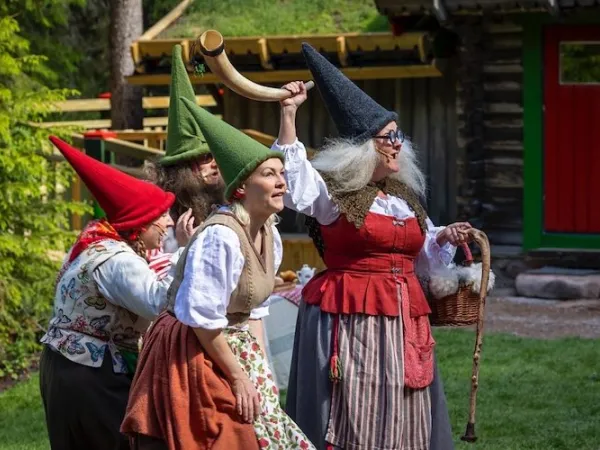 Skogstomtar.