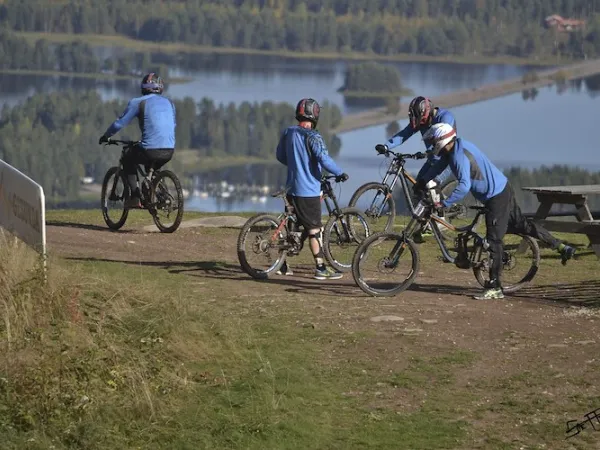 Four downhill cyclists in the starting pits to make their way down the hill.