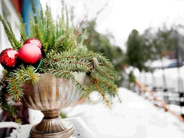 Juldekoration i kruka.