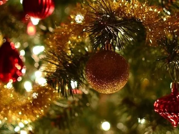 A close up of a christmas tree.