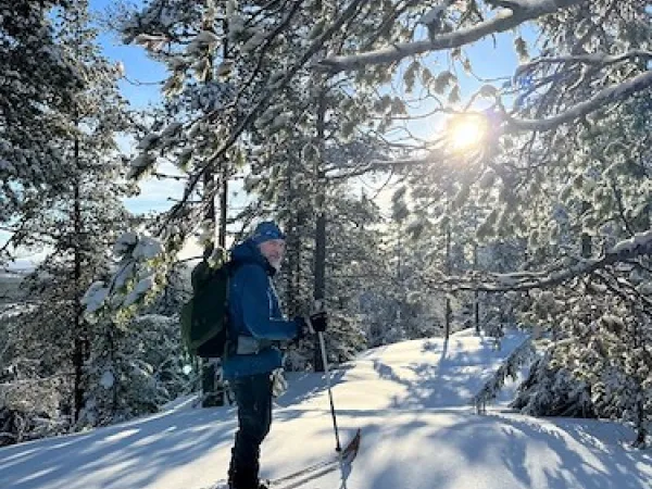 Skidåkare i vintrig skog.