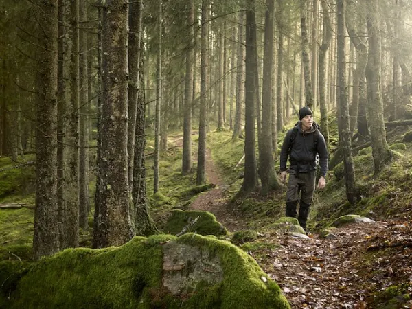 En man som vandrar i en skog.