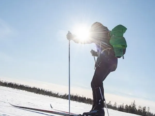 Skier in the sunshine.