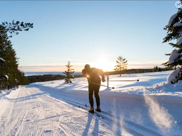 Skier in the sunset.