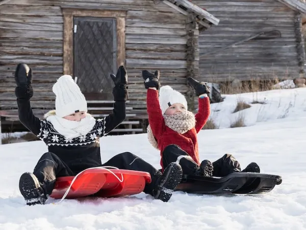 Två barn i pulka som håller upp händerna i luften.