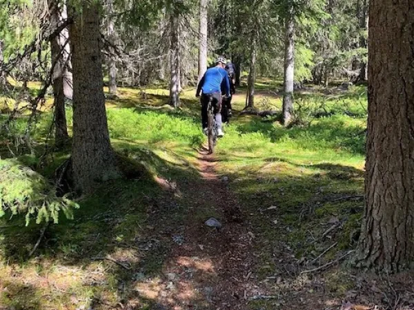 Cyklist på en skogsstig.
