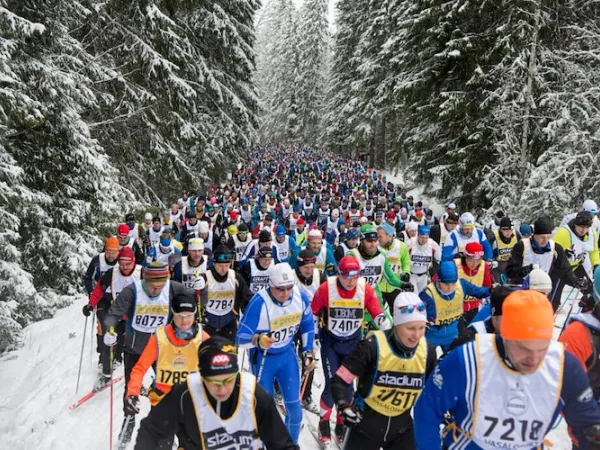 Skidåkare i vintrig skog.
