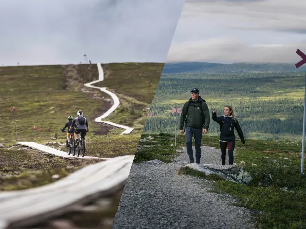 Bildkollage på cyklare och vandrare.