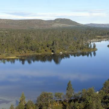 Utsikt över ån Storån i Grövelsjön.