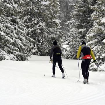 Cross country skiers on a trail.