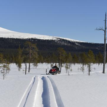 A snowmobile on a trail.
