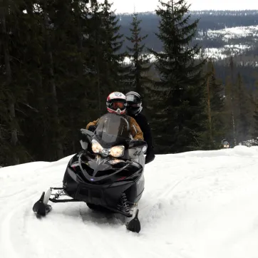 A snowmobile on a trail.
